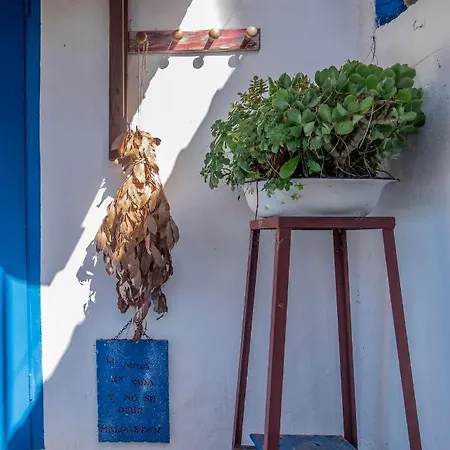 El Acebuche - Con Encanto - Pet Friendly